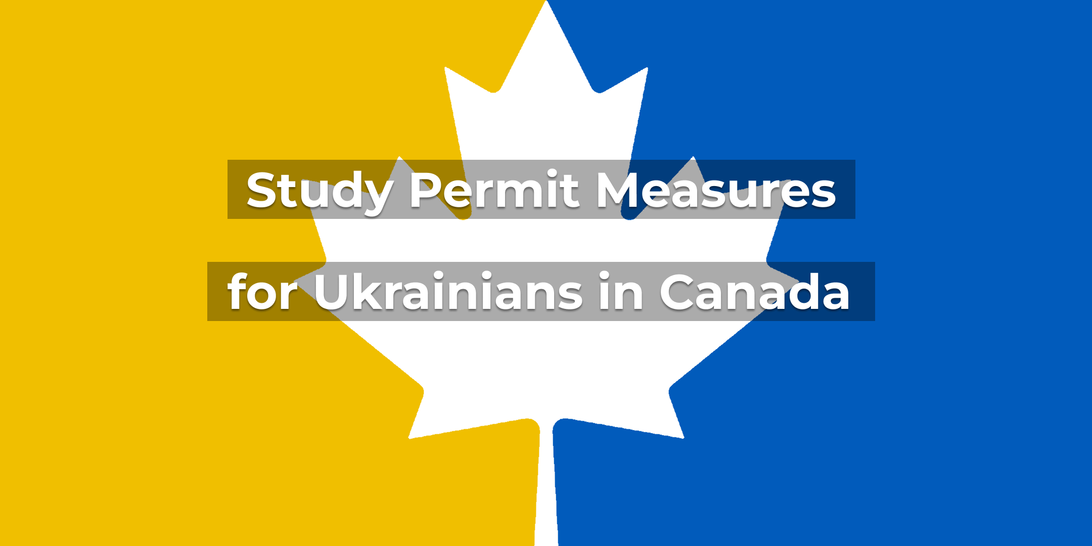 Study Permit Measures for Ukrainians in Canada: How to Apply